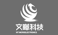 WT Microelectronics